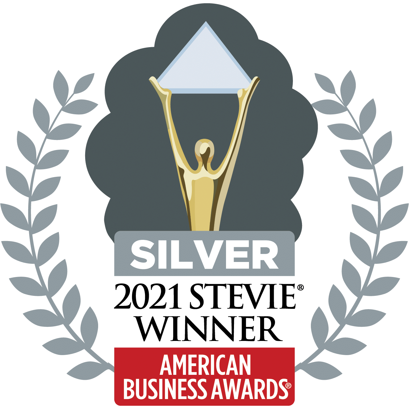 2021 Silver Stevie Award for Healthcare Company of the Year